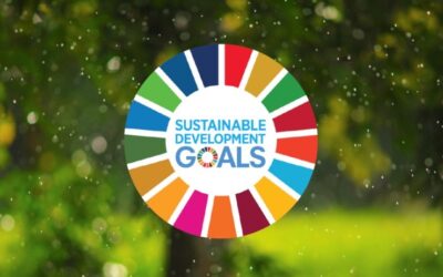 Inspirational Videos for the SDGs!